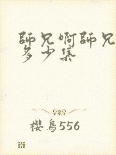 师兄啊师兄共有多少集