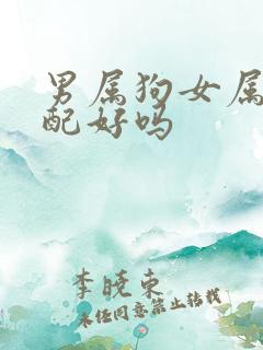 男属狗女属龙婚配好吗