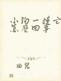 小狗一摸它就尿怎么回事