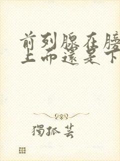 前列腺在膀胱的上面还是下面