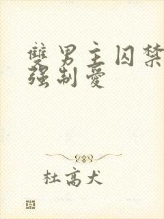 双男主囚禁调教强制爱