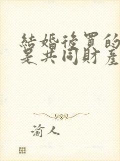 结婚后买的房子是共同财产吗