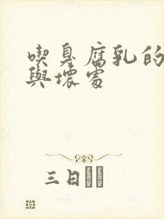 吃臭腐乳的好处与坏处