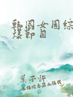 韩国女团综艺劲爆节目