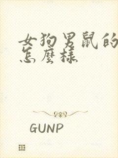 女狗男鼠的姻缘怎么样