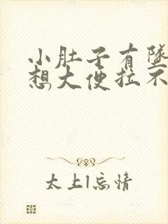 小肚子有坠胀感想大便拉不出的感觉