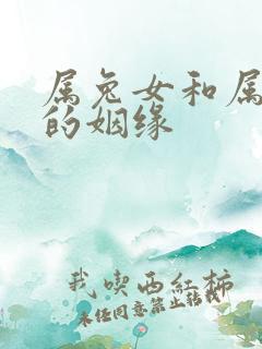 属兔女和属蛇男的姻缘