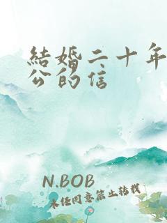 结婚二十年对老公的信