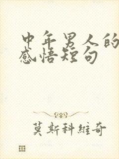 中年男人的人生感悟短句