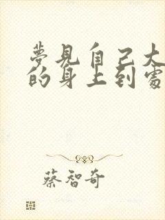 梦见自己大便弄的身上到处都是