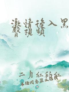 激情后入黑丝翘臀视频