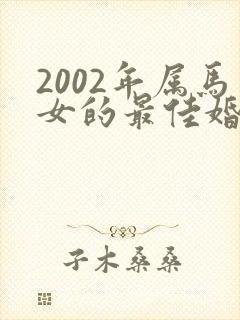 2002年属马女的最佳婚配属马