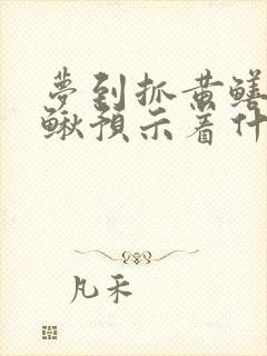 梦到抓黄鳝和泥鳅预示着什么