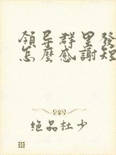 领导群里发红包怎么感谢短语