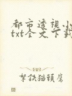 都市透视小神医txt全文下载