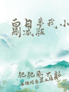 白日梦我小说未删减版