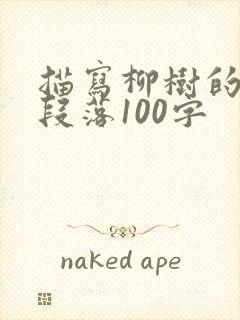 描写柳树的优美段落100字