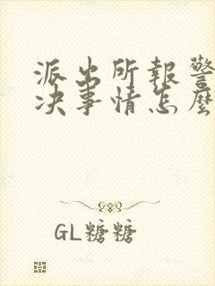 派出所报警不解决事情怎么办