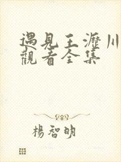 遇见王沥川免费观看全集