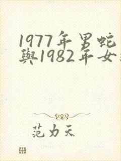 1977年男蛇与1982年女狗相配吗