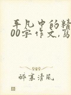 平凡中的精彩600字作文,写环卫工人