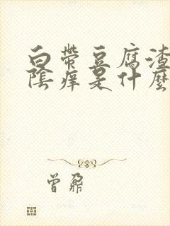 白带豆腐渣状外阴痒是什么原因造成的