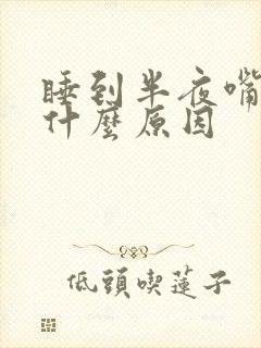 睡到半夜嘴苦是什么原因