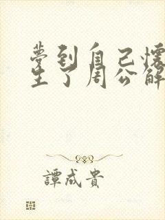 梦到自己怀孕快生了周公解梦