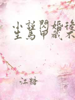 小说闪婚后傅先生马甲藏不住了手机版