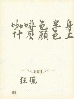 咖啡色半身裙搭什么颜色上衣好看