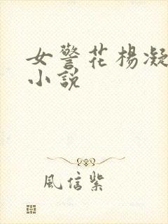 女警花杨凝冰的小说