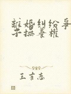 离婚纠纷争夺孩子抚养权