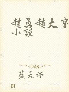 赵勇赵大宝苏媚小说