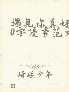 遇见你真好600字优秀范文