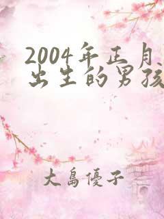 2004年正月出生的男孩命运