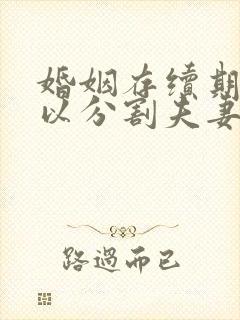 婚姻存续期间可以分割夫妻共同财产吗