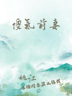 傻气前妻