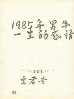 1985年男牛一生的感情命运