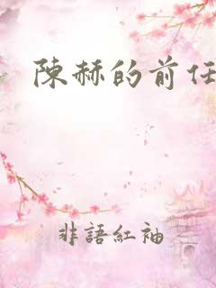 陈赫的前任妻子