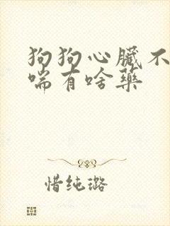 狗狗心脏不好老喘有啥药