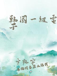 韩国一级电影嫂子