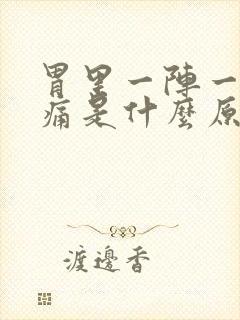 胃里一阵一阵的痛是什么原因