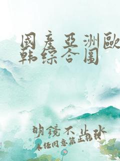 国产亚洲欧美日韩综合图