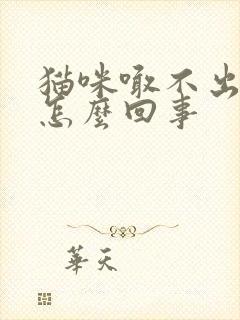 猫咪喊不出声音怎么回事