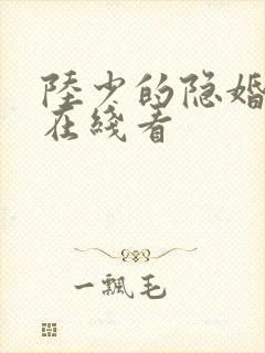 陆少的隐婚罪妻在线看