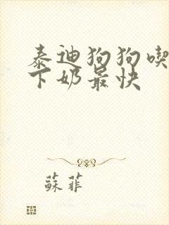 泰迪狗狗吃什么下奶最快