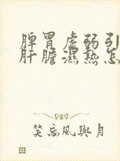 脾胃虚弱引起的肝胆湿热怎么调理