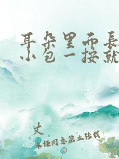 耳朵里面长了个小包一按就疼怎么办