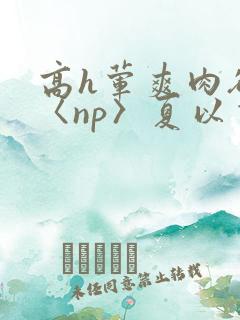 高h荤爽肉欲文〈np〉夏以昼