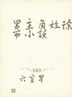 男主角姓徐的都市小说